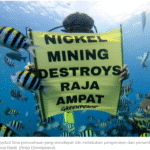 Tambang Nikel Raja Ampat, Salah Siapa?