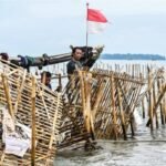 Jaring Oligarki di Pagar Laut: Tangkaplah Kawanan Teri, Sang Kakap Biar Berlalu