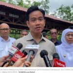 Wakil Presiden Gibran Ditugaskan Berkantor di Papua untuk Tangani Isu Strategis?
