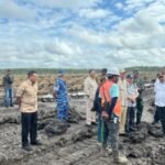 Paradoks Presiden Prabowo dan Sawit: Ambisi Swasembada di Atas Luka Ekologis