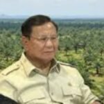 Prabowo Mau tambah lahan Sawit