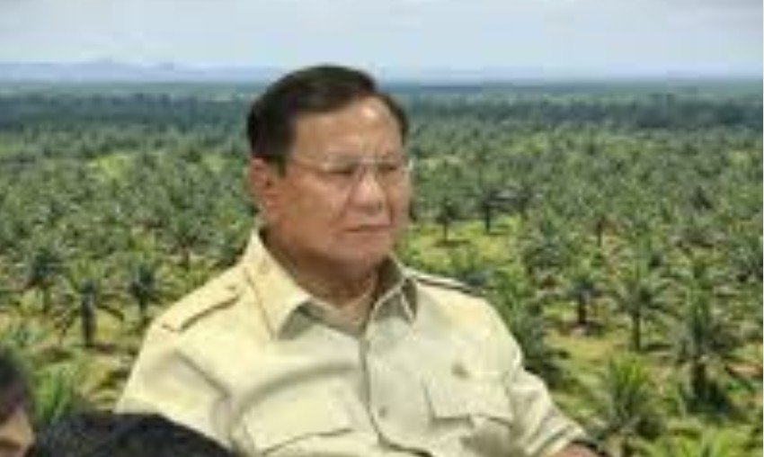 Prabowo Mau tambah lahan Sawit