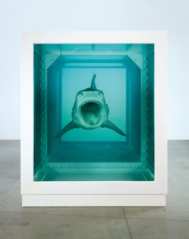 Damien Hirst, The Physical Impossibility of Death in the Mind of Someone Living, 1991. Artist’s website.